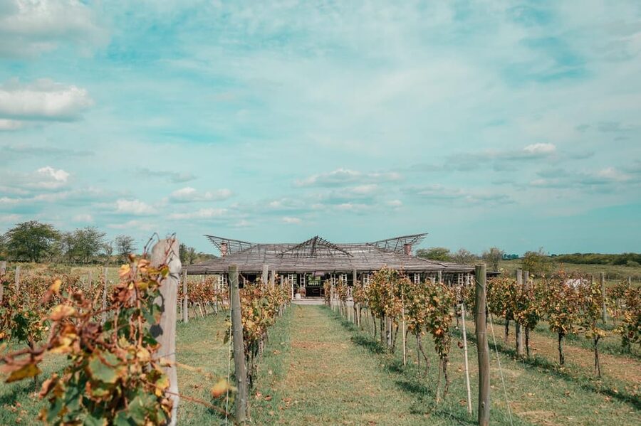 Buenos Aires: Lunch and Wine Tasting at Bodega Gamboa - A terroir lunch with wine included