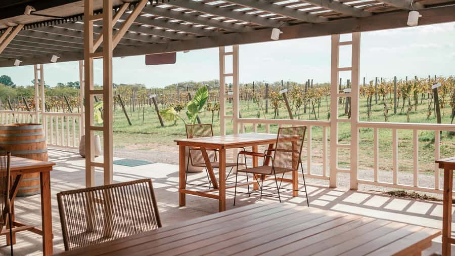 Buenos Aires: Wine Tasting and Lunch at Bodega Gamboa - Key points to know before you book