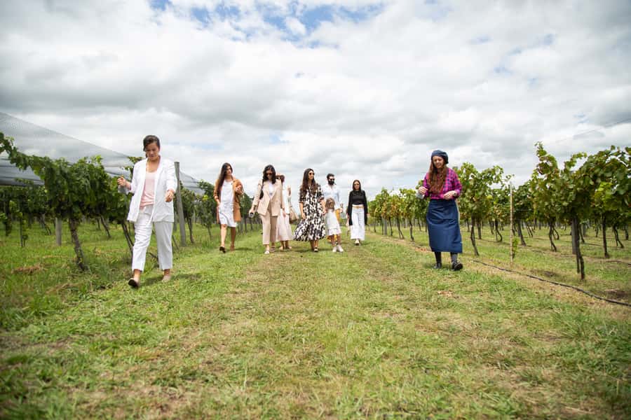 Buenos Aires: Wine Tasting and Lunch at Bodega Gamboa - The setting, weather, and walking