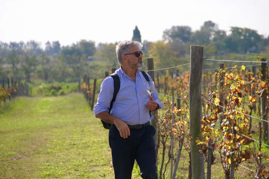 Buenos Aires: Wine Tasting and Lunch at Bodega Gamboa - Who should book this experience?