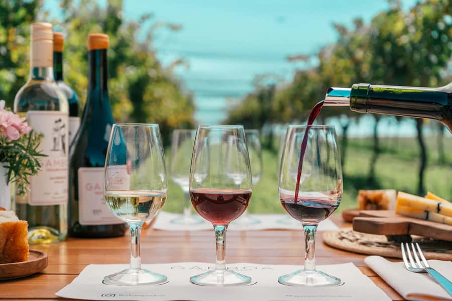 Buenos Aires: Wine Tasting & Lunch at Gamboa Vineyard - Casa Gamboa and the Terruño lunch