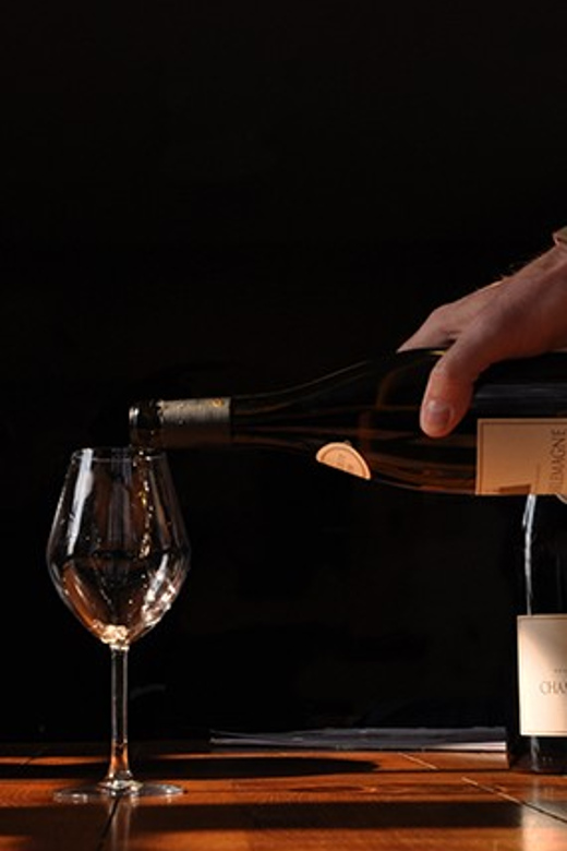 Burgundy Vineyards: Luxury Private Tours - Two tastings, from village wines to Premier Cru