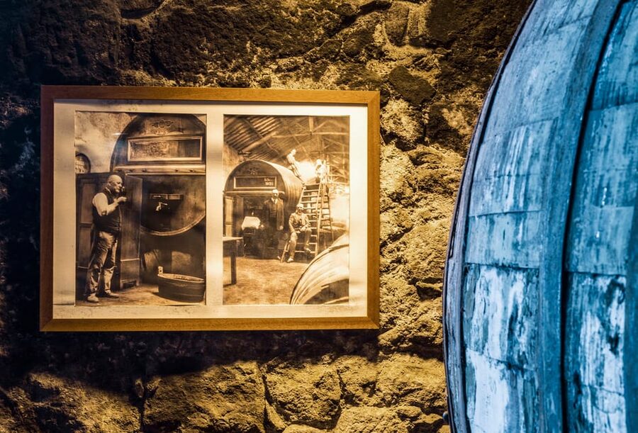 Burmester Cellar Tour - Should You Book the Burmester Cellar Tour?