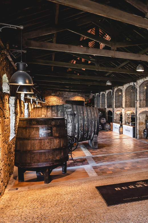 Burmester Cellar Tour - Is Two Port Tastings Enough for $20?