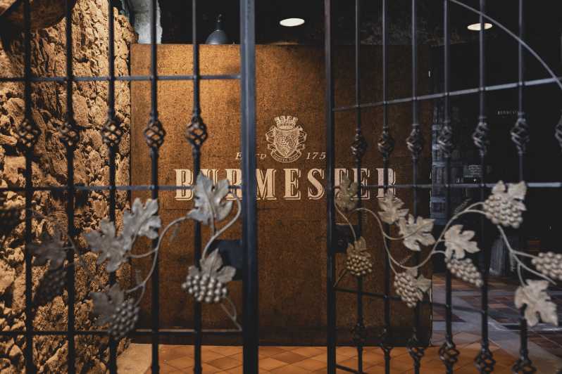 Burmester Cellar Tour - What Happens During the One-Hour Visit