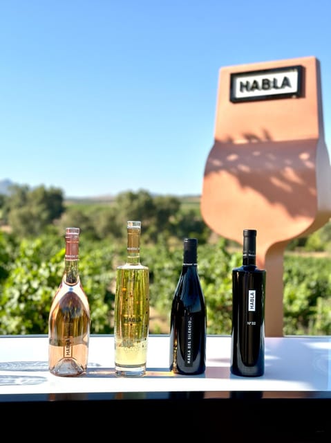 Cáceres: Bodegas Habla - Key points to know before booking