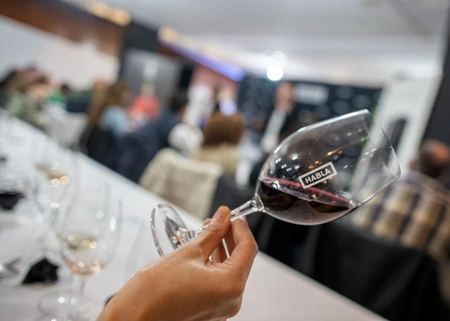 Cáceres: Bodegas Habla - What $45 buys you