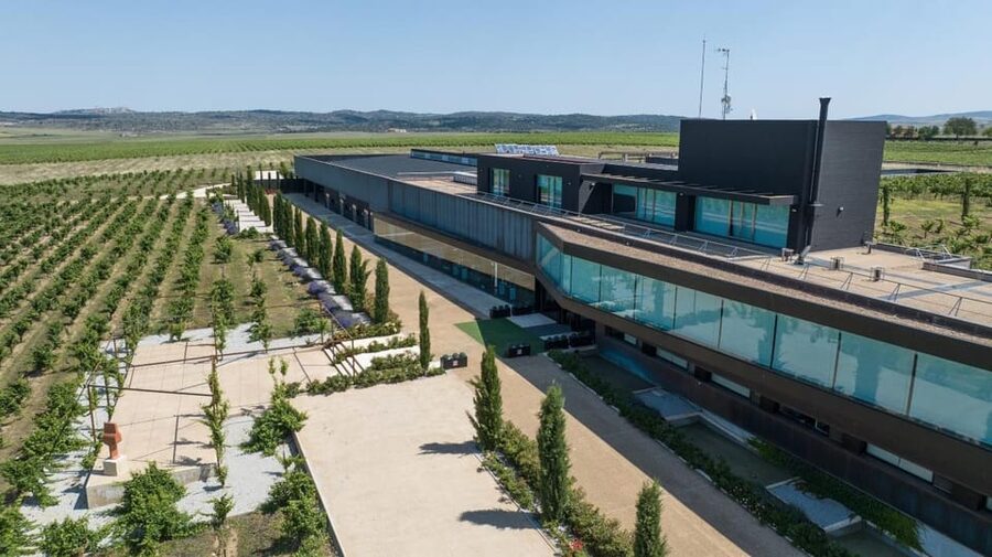 Cáceres: Bodegas Habla - Timing your visit around Trujillo