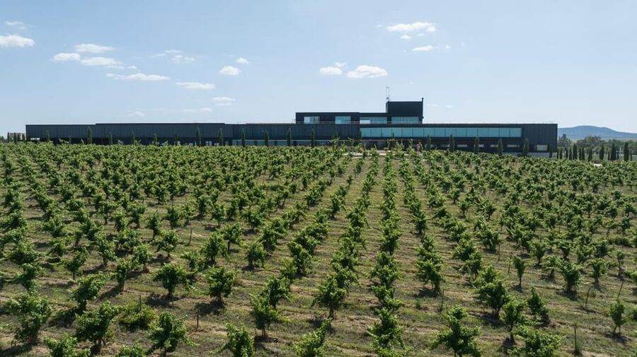 Cáceres: Bodegas Habla - Should you book Bodegas HABLA?
