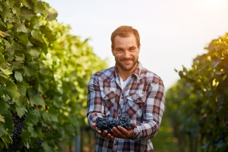 Cáceres: Winery Tour and Wine Tasting with Local Guide - The tasting room and three emblematic wines