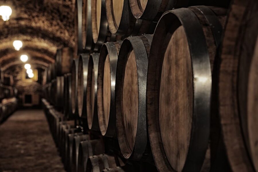 Cáceres: Winery Tour and Wine Tasting with Local Guide - Is $41 a fair price?