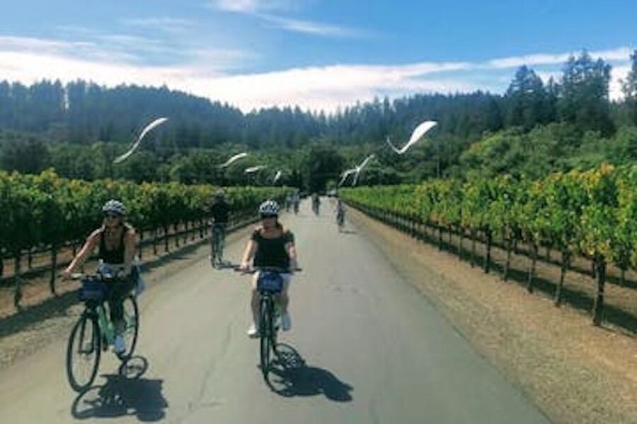 Calistoga: Napa Valley Cycling and Winery Tour with Picnic - Learning to taste during Grapes 101