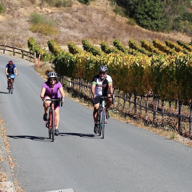 Calistoga: Napa Valley Cycling and Winery Tour with Picnic - What the $275 price really covers