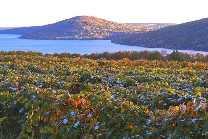 Canandaigua Wine Trail Experience - Why this wine tour works well from Rochester