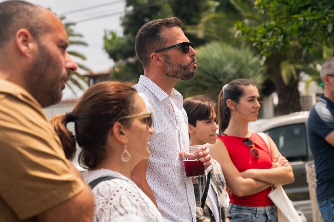 Canarian Wine Experience at Bodega los Lirios - Tasting Llantén With Local Picoteo