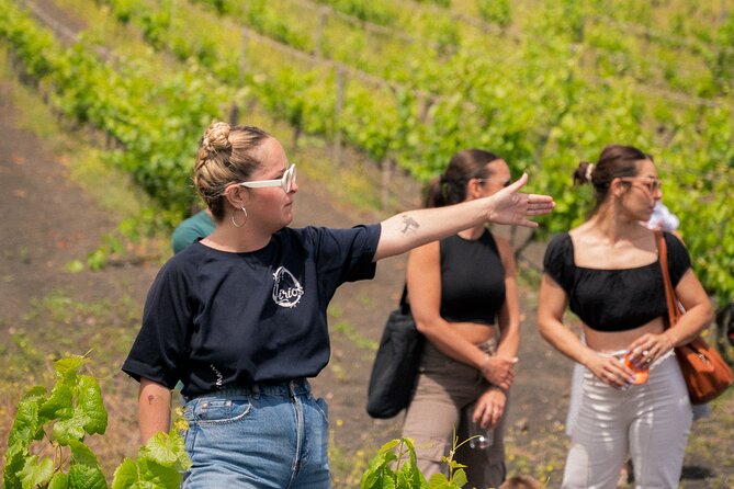 Canarian Wine Experience at Bodega los Lirios - Bandama Volcano as the Backdrop