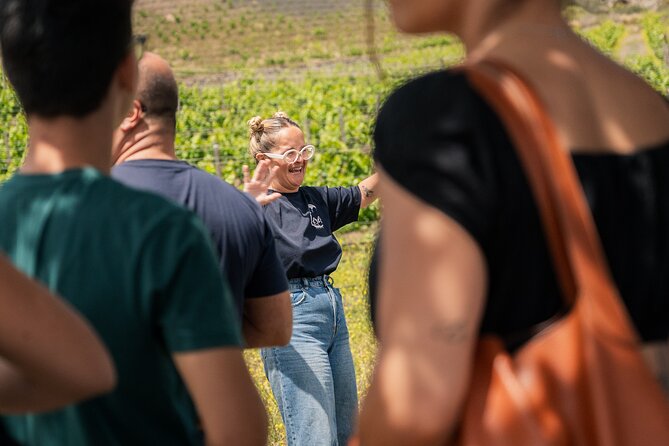 Canarian Wine Experience at Bodega los Lirios - Is $19.31 Good Value?