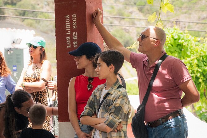 Canarian Wine Experience at Bodega los Lirios - Who Will Enjoy This Winery Visit?