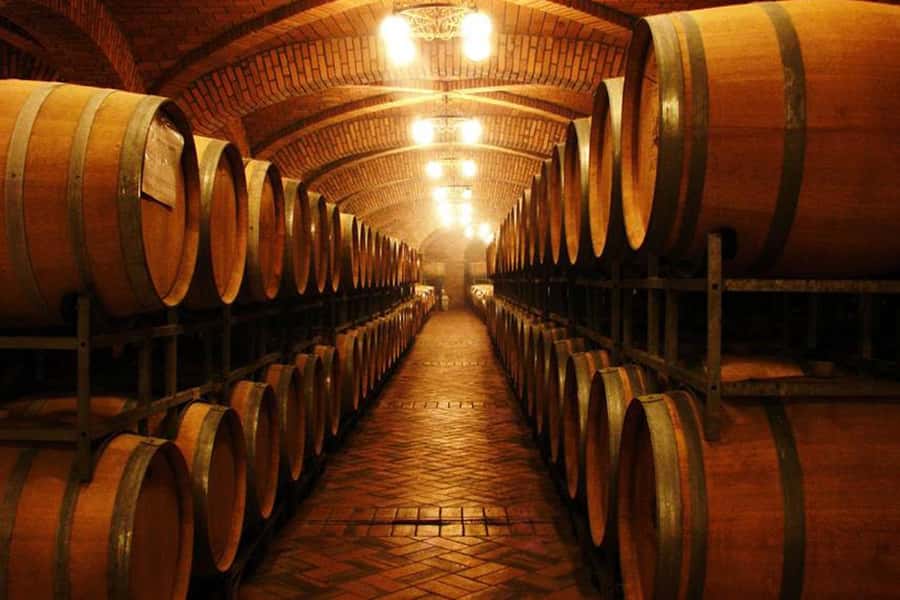 Canela/Gramado: South Wineries, Wine Train, & Italian Park - Aurora Winery and the industrial side of Brazilian wine