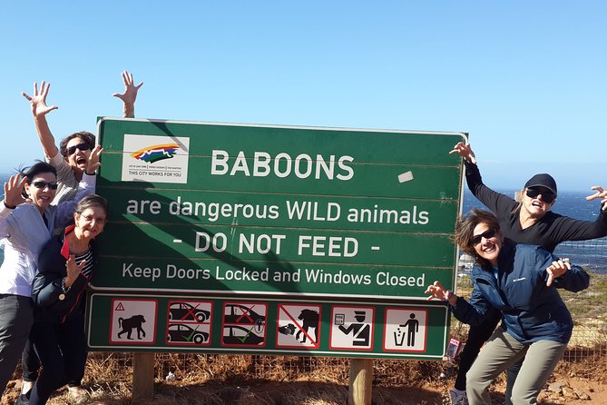 Cape of Good Hope and Cape Winelands Day Tour from Cape Town - A full Cape Peninsula day without the driving work