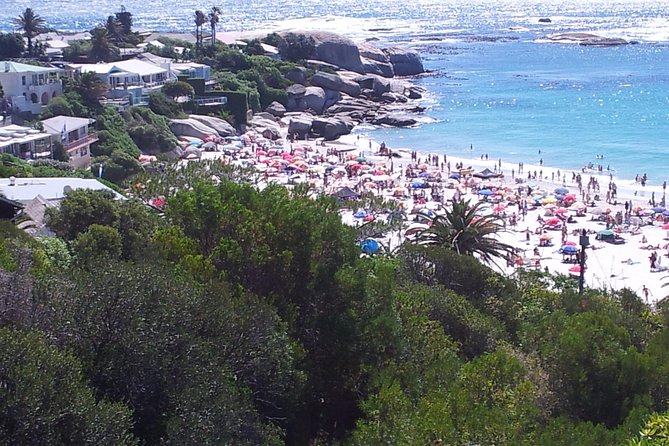 Cape of Good Hope and Cape Winelands Day Tour from Cape Town - Chapman’s Peak Drive is a major highlight