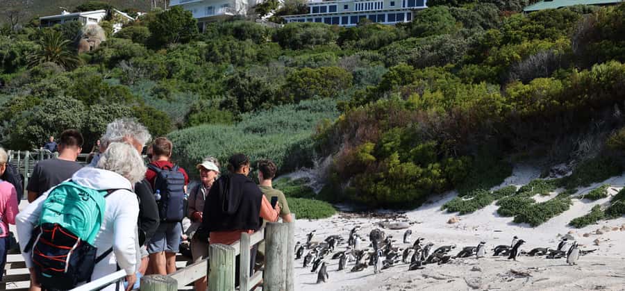 Cape Peninsula and Winelands Private Full-Day Combo Tour - Key points to know before booking