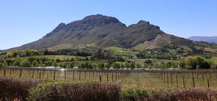 Cape Peninsula and Winelands Private Full-Day Combo Tour - Groot Constantia connects wine with Cape Town’s past