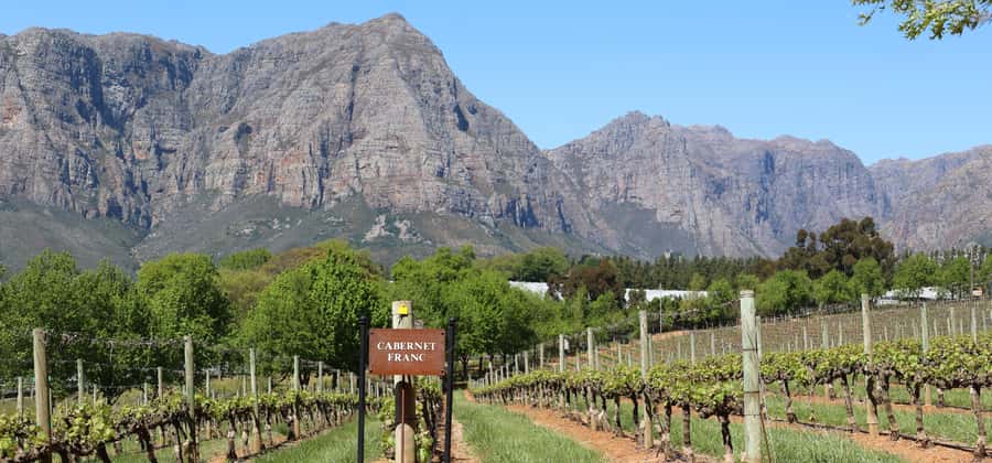 Cape Peninsula and Winelands Private Full-Day Combo Tour - Maidens Cove and the Twelve Apostles