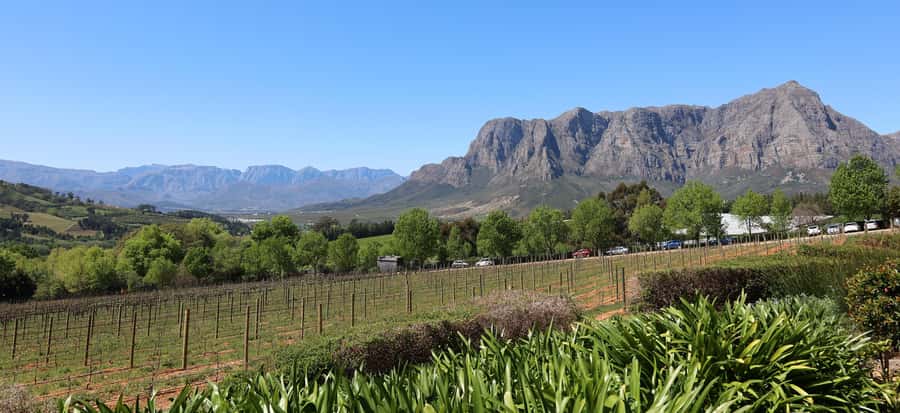 Cape Peninsula and Winelands Private Full-Day Combo Tour - Simon’s Town provides the lunch break