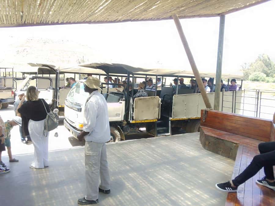 Cape Town: Aquila Reserve Safari with Lunch and Winery Visit - Fairview in Paarl adds wine and cheese to the safari
