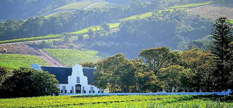 Cape Town: Cheetah Outreach and Winelands Day Tour - Who should book this private day?