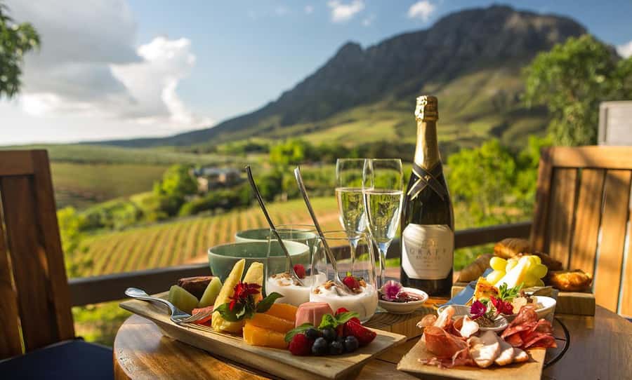 Cape Town Full-Day Cheetah Outreach & Winelands Private Tour - Key points at a glance