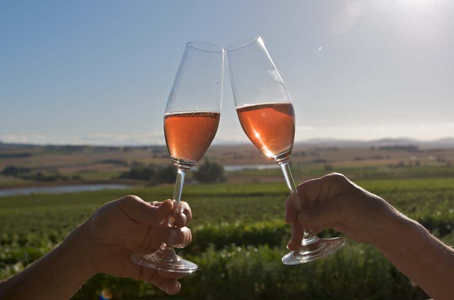 Cape Town: Full-Day Winelands Tour with Wine Tastings & Food - Four wineries, three wine regions, one long day