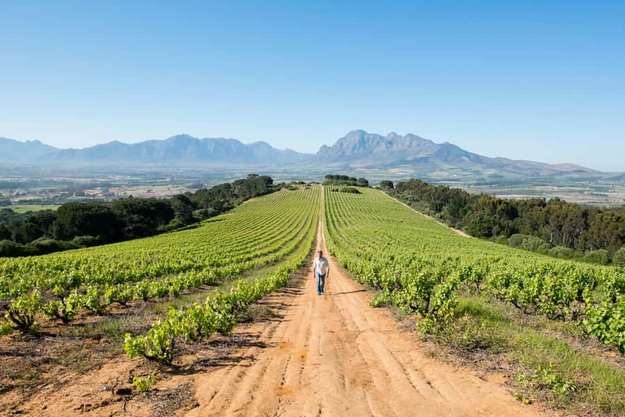 Cape Town: Full-Day Winelands Tour with Wine Tastings & Food - Franschhoek brings French roots and mountain views