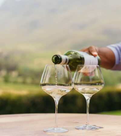 Full-Day Winelands Tour with Wine Tastings & Food