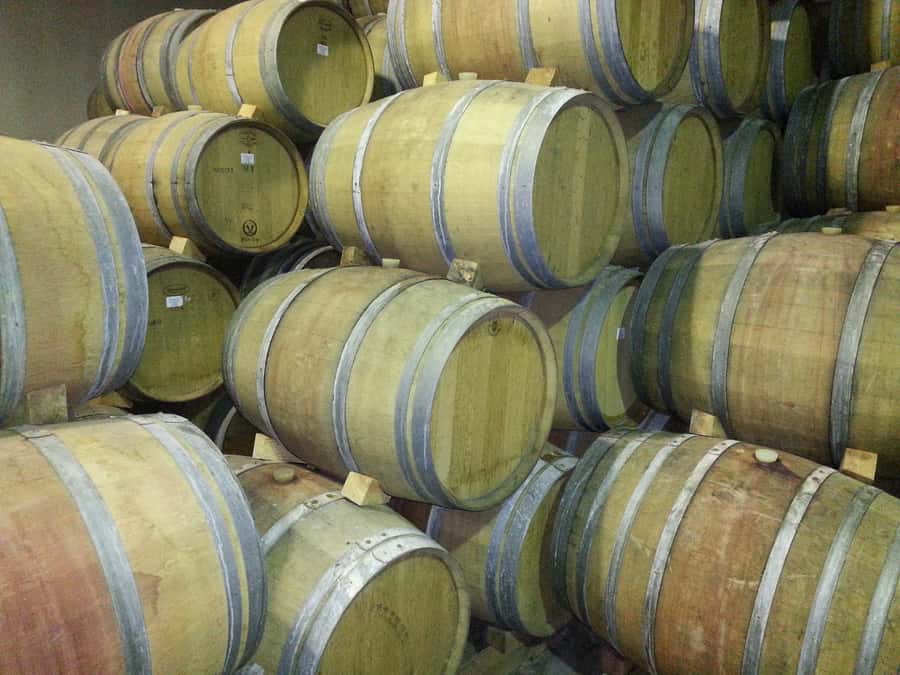 Cape Town: Full-Day Winelands Tour with Wine Tastings & Food - The small bus and the human side of the tour