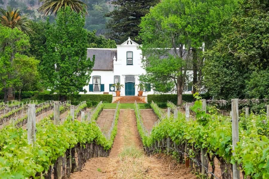 Cape Town: Guided Winelands Tour & Tasting in Stellenbosch - A quick route from Cape Town to the vineyards