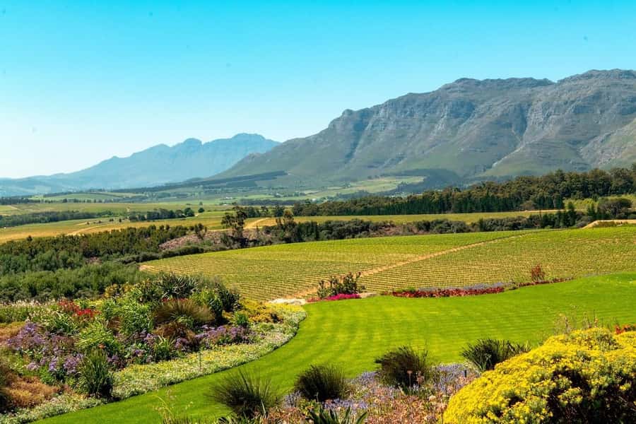 Cape Town: Guided Winelands Tour & Tasting in Stellenbosch - Stellenbosch brings wine country and town life together