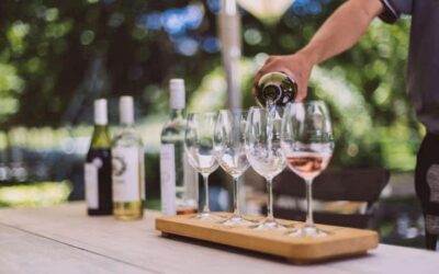 Guided Winelands Tour & Tasting in Stellenbosch
