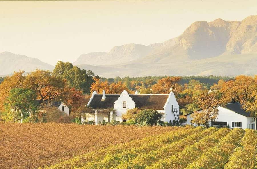 Cape Town: Guided Winelands Tour & Tasting in Stellenbosch - Food pairings make the tastings easier