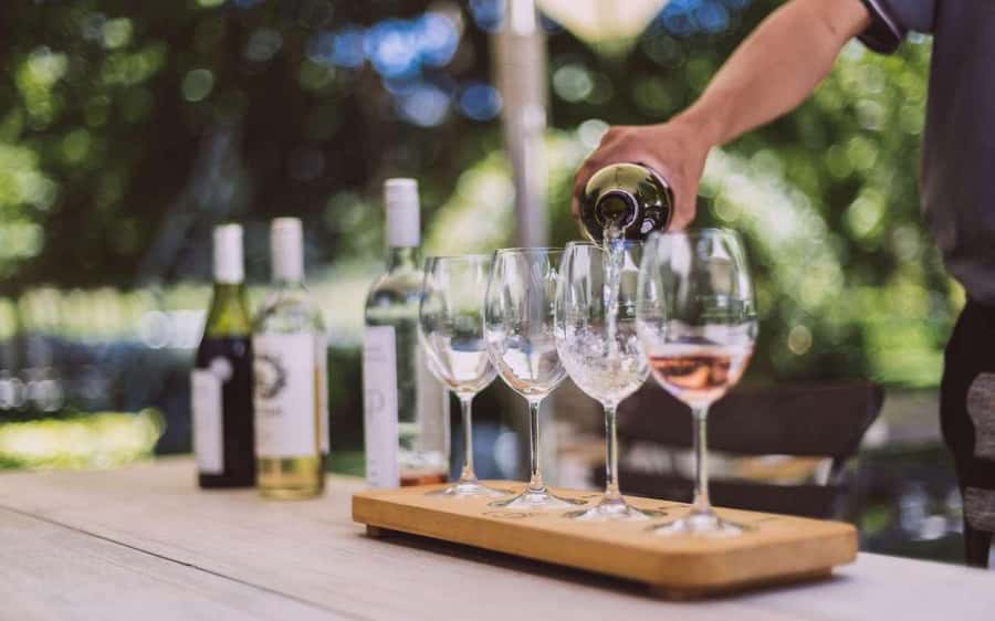 Cape Town: Guided Winelands Tour & Tasting in Stellenbosch - Zevenwacht Wine Estate and the working cellar