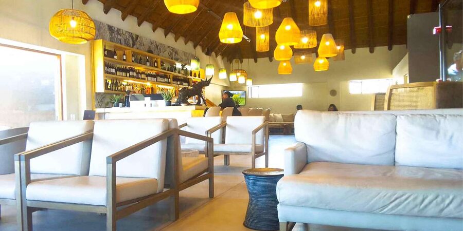 Cape Town: Private Aquila Reserve Safari with Winery Lunch - A useful refreshment stop during the drive