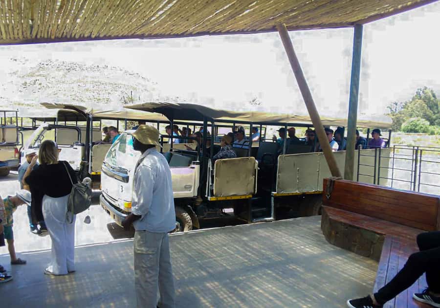 Cape Town: Private Aquila Reserve Safari with Winery Lunch - Aquila Private Nature Reserve and the extra entrance fee