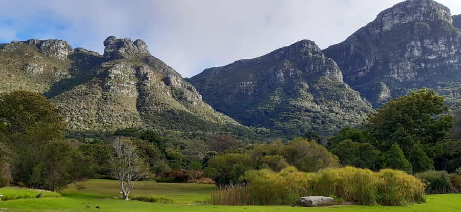 Cape Town: Private Full Day City & Winelands Tour - The private guide makes the long day easier