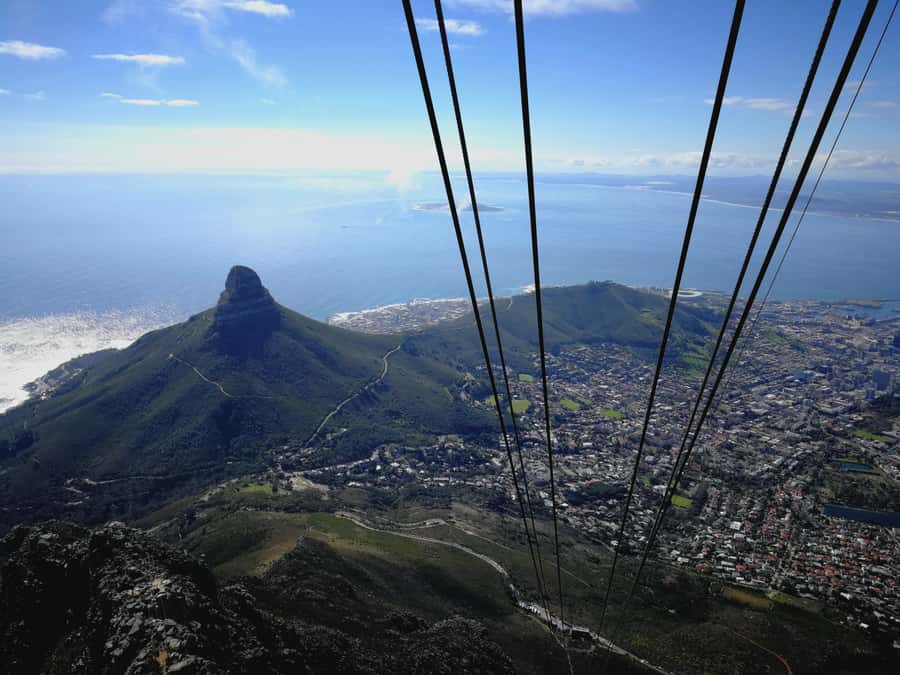 Cape Town: Private Full Day City & Winelands Tour - Company’s Garden and the colorful streets of Bo-Kaap