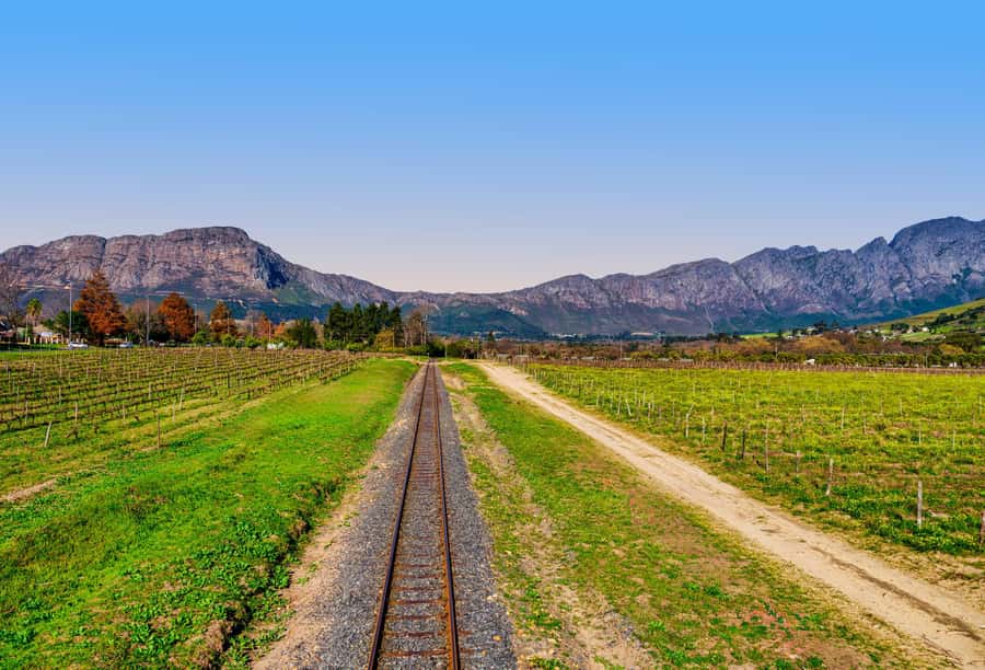 Cape Town: Wine Tram & Winelands Tour with Tastings & Pickup - What the estate visits are really like