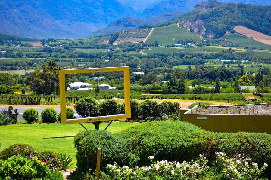 Cape Town: Wine Tram & Winelands Tour with Tastings & Pickup - Useful booking advice for the day