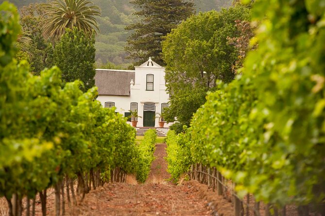 Cape Town: Winelands Private Half Day Tour - A private guide can make the difference