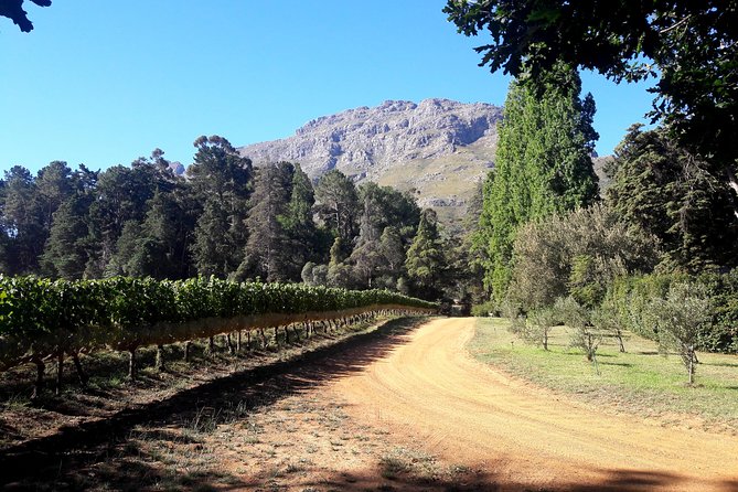 Cape Town Winelands Stellenbosch Private Afternoon Tour - Lanzerac and the chocolate pairing