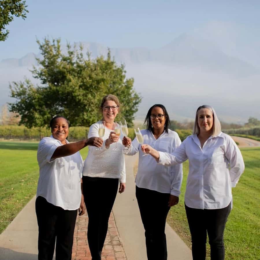 Cape Town: Winelands Wine Tour & Wine Tasting with Lunch - Key points to know before booking